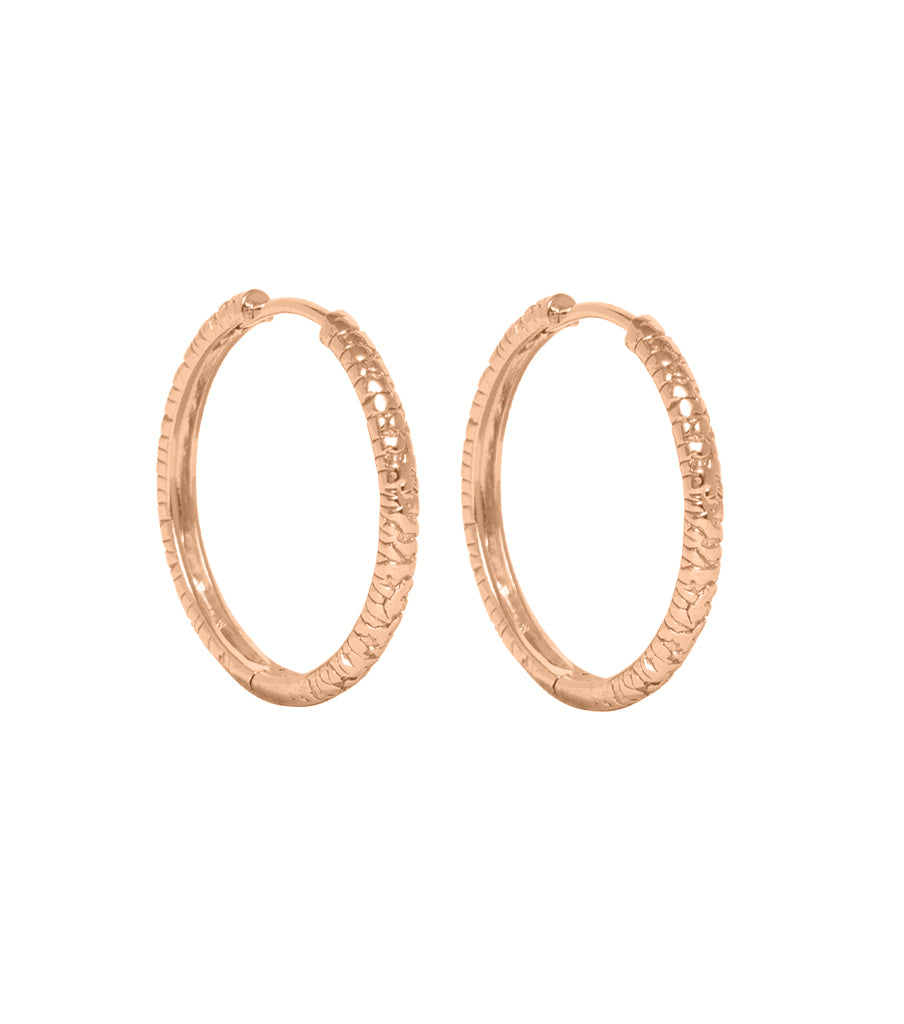 Earrings - structure click